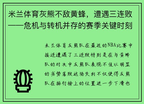 米兰体育灰熊不敌黄蜂，遭遇三连败——危机与转机并存的赛季关键时刻 - 副本
